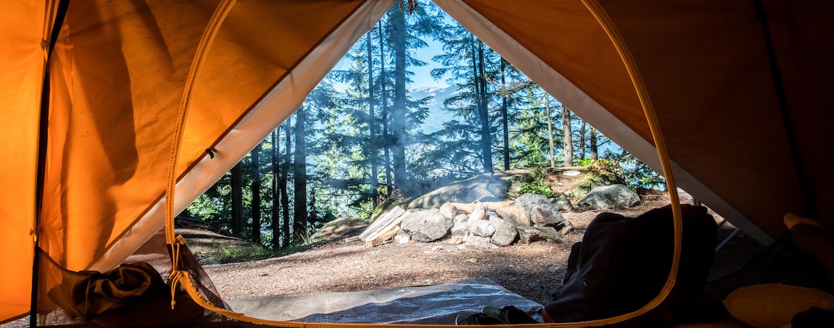 A view from a tent of a beautiful natural area