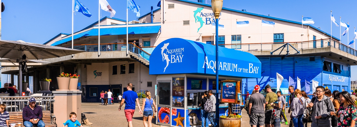 Aquarium Of The Bay in San Francisco!