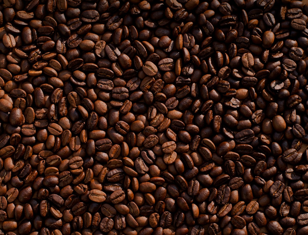 Temple Coffee Roasters Tour