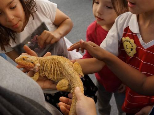explorit science center davis california science fun for kids