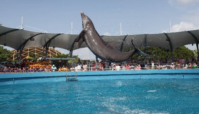Our Top 9 Fun Things To Do With The Kids In Miami