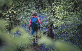 kid hiking ion woods with dog