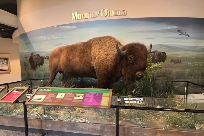 bison.jpg