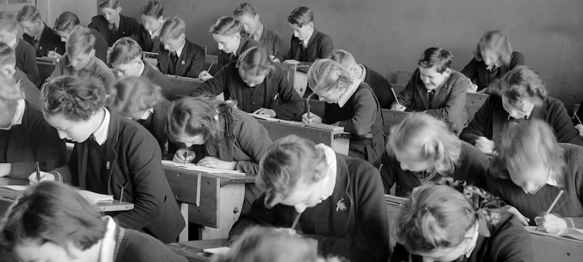 kids studying in class