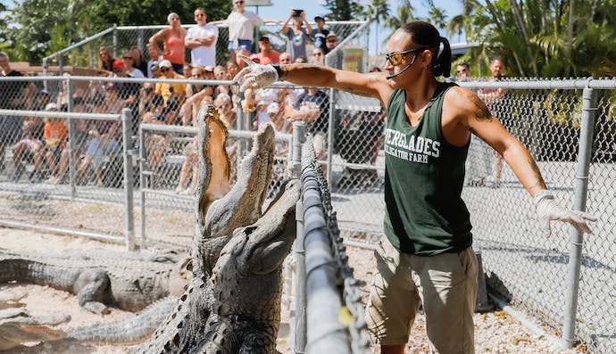 Our Top 9 Fun Things To Do With The Kids In Miami
