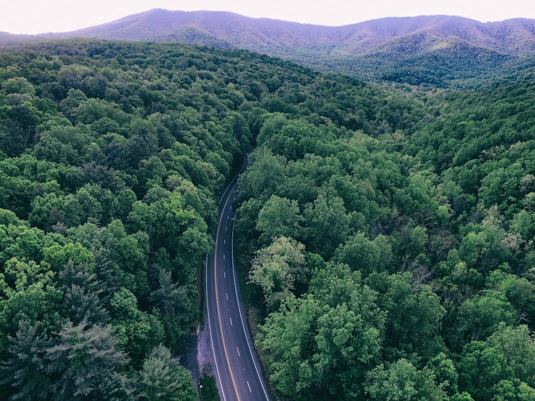 Newfound Gap Road