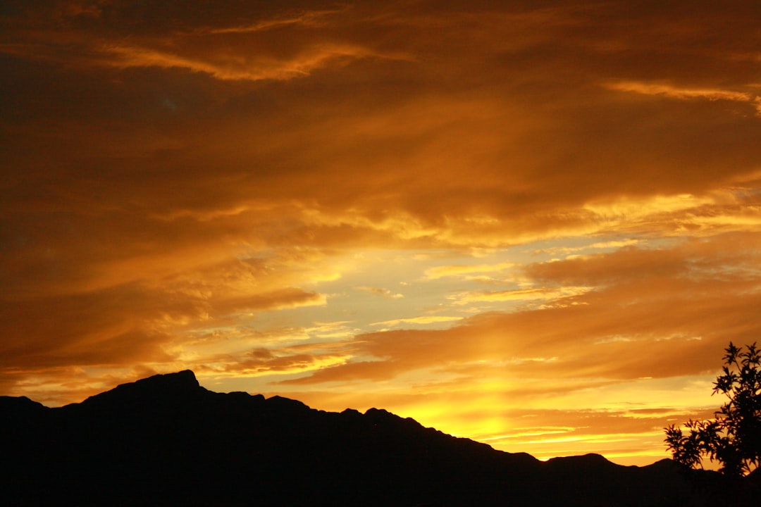 Top Fun Things for Families in El Paso