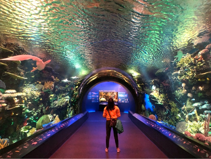 Our Top 9 Fun Things To Do With The Kids In New York City