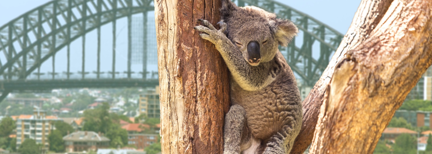 travelling australia with kids sydney harbour opera house vacation things to do with kids blog