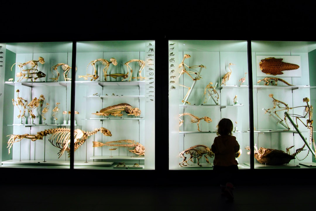 Top Fun Things for Families in Raleigh