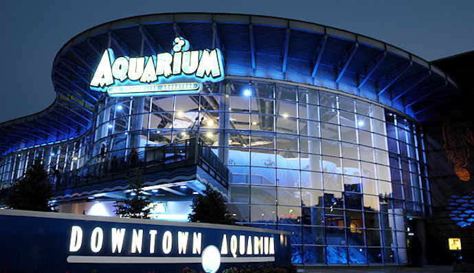 Our Top 9 Fun Things To Do With The Kids In Denver
