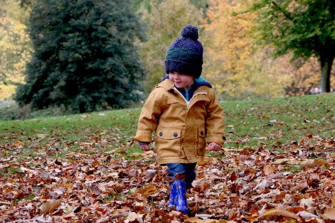 a small boy walks in autumn park