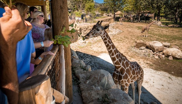 Our Top 9 Fun Things To Do With The Kids In Omaha