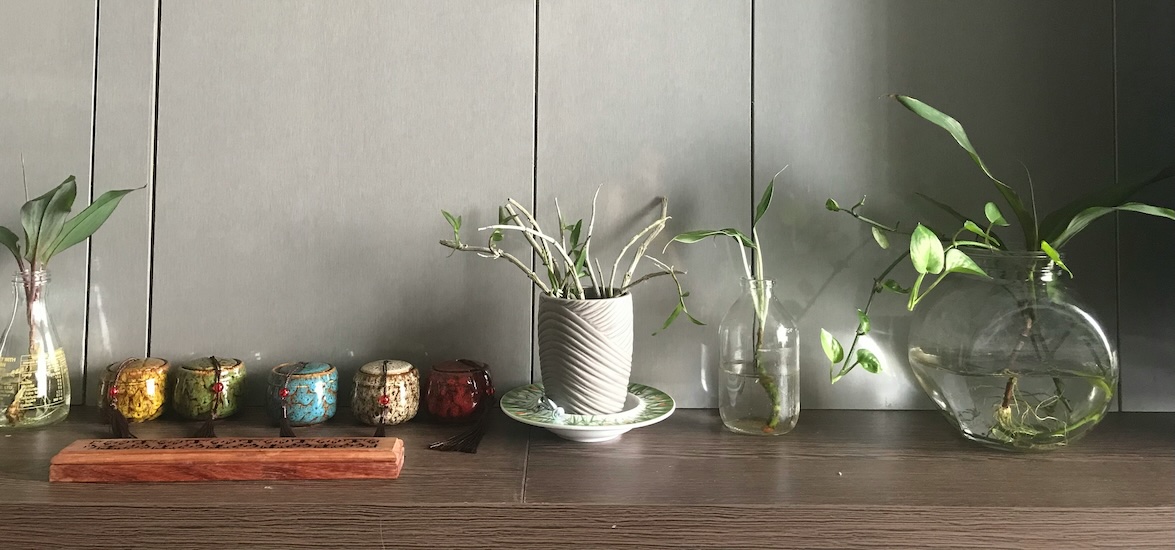 Cosy corner