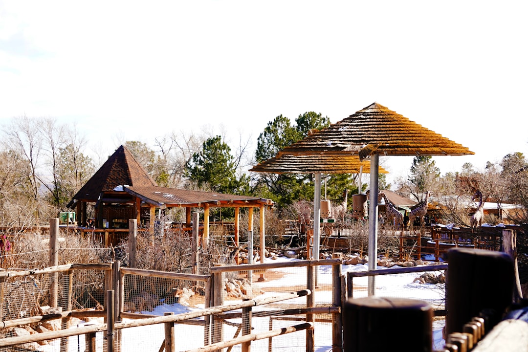 Top Fun Things for Families in Colorado Springs
