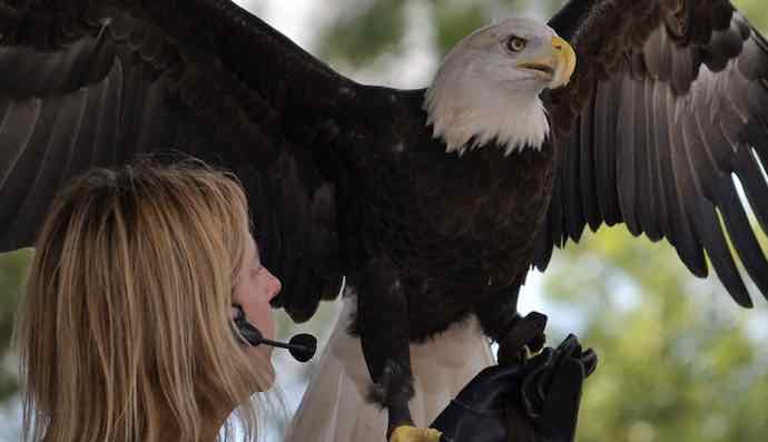 Our Top 9 Fun Things To Do With The Kids In Mobile