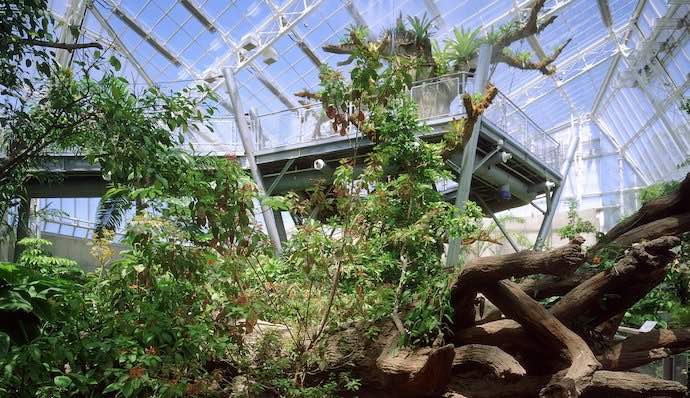 Our Top 9 Fun Things To Do With The Kids In Cleveland!