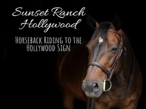 sunset ranch hollywood horse riding