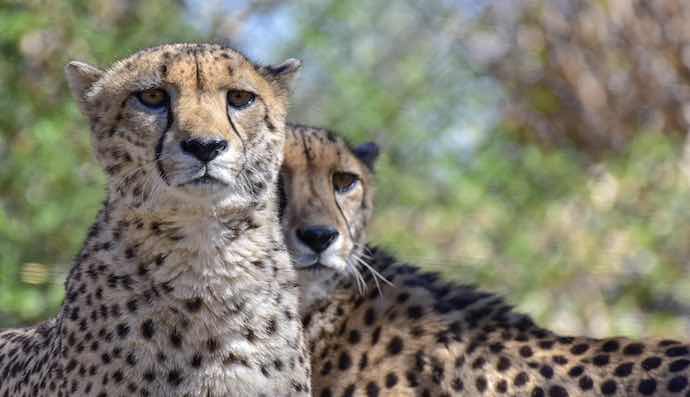 Our Top 9 Fun Things To Do With The Kids In Baltimore!