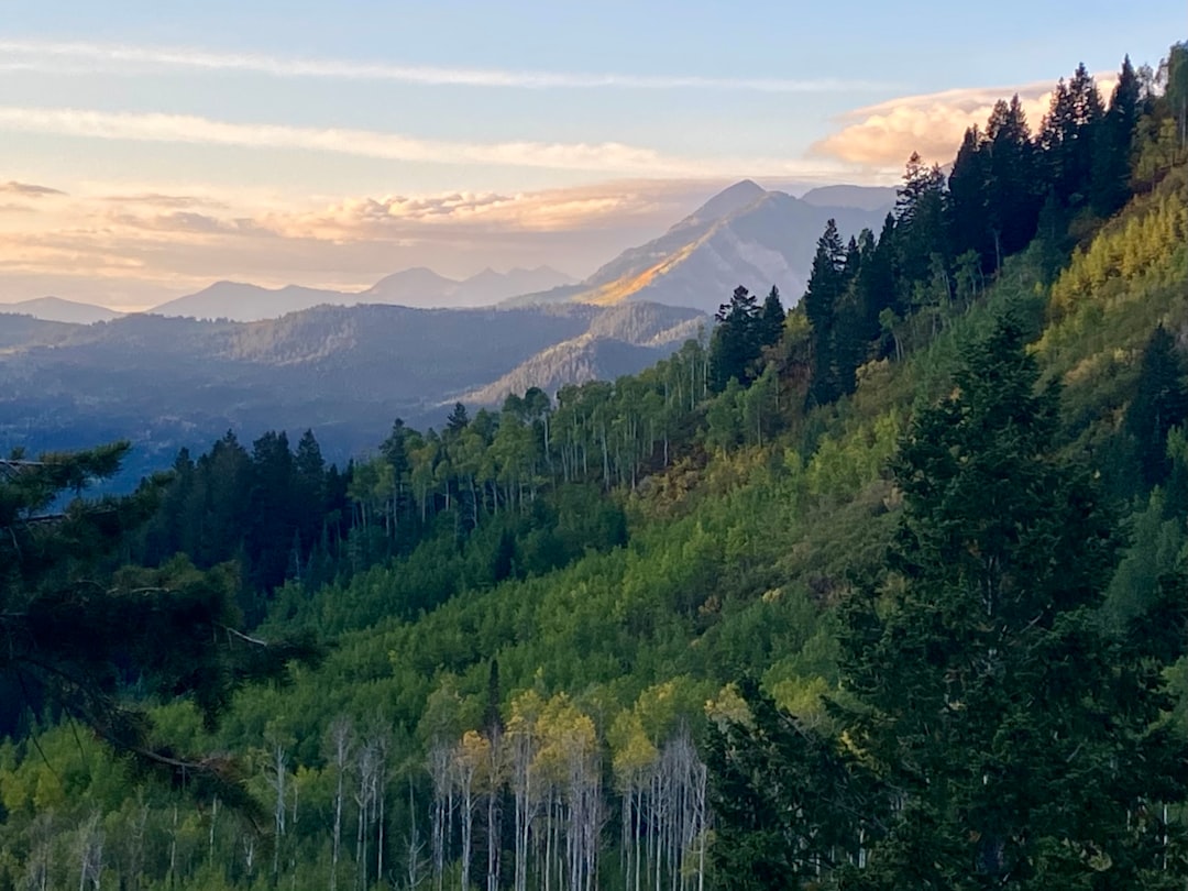 Roaring Fork Motor Nature Trail