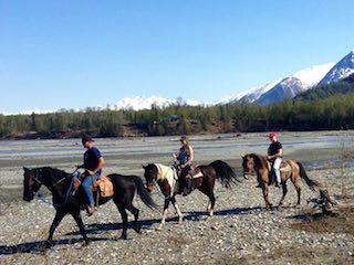 Alaska Horses adventures 
