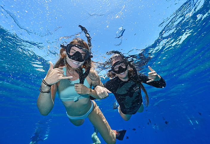 snorkeling in Maui