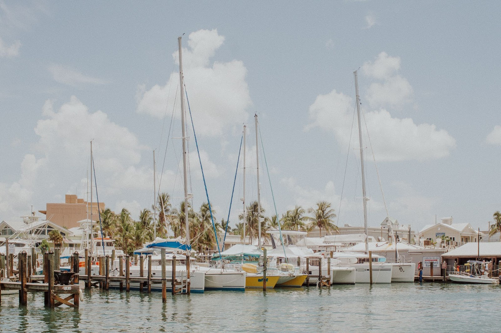 boats in the harbour