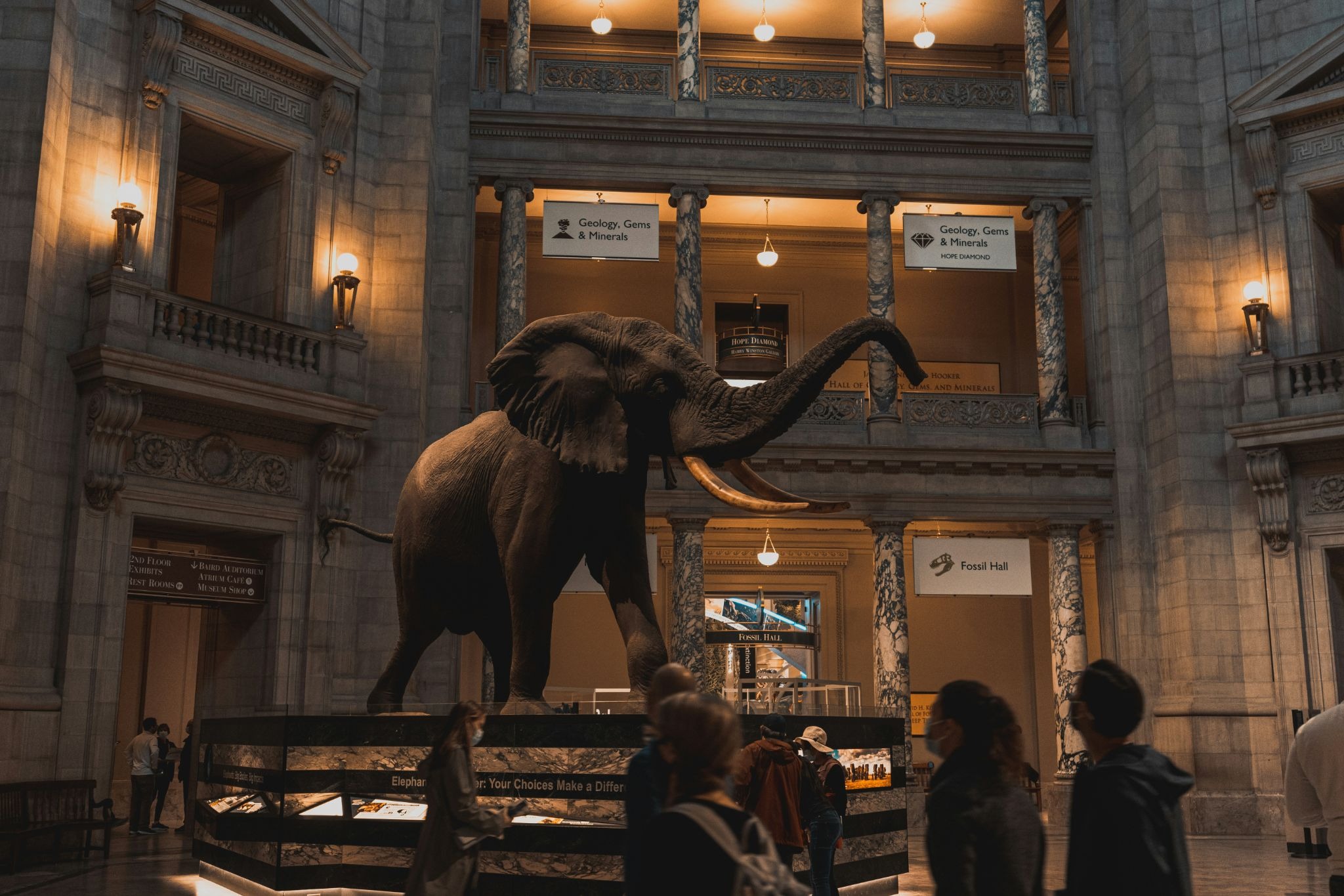 Display at the Smithsonian