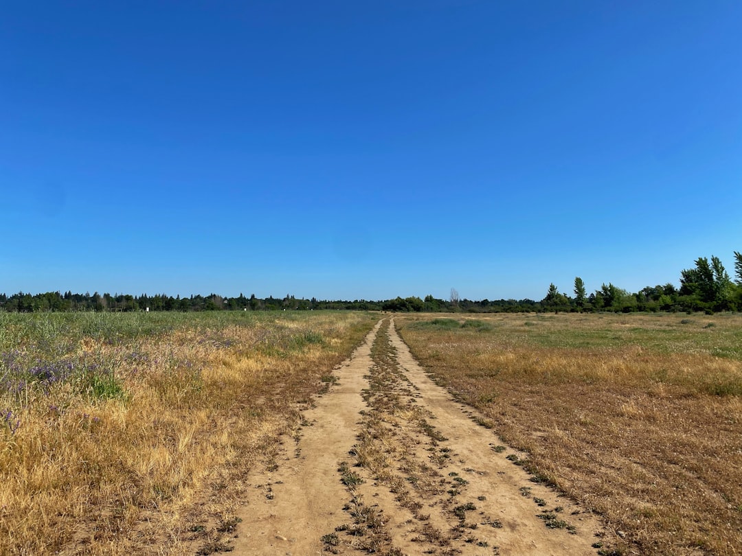The American River Parkway