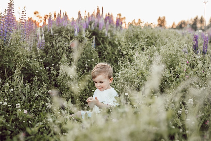 a young child plays in a field of flowers