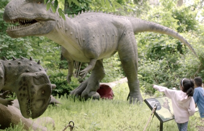 kids with Trex's
