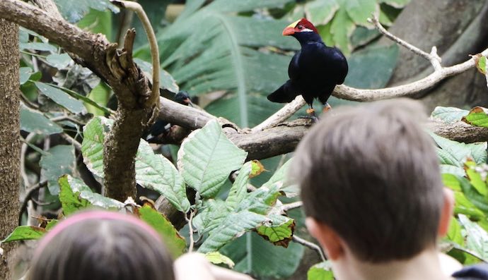 Our Top 9 Fun Things To Do With The Kids In Salt Lake City!