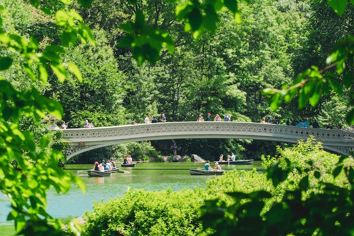 Central park with a bridge and people in rowing boats