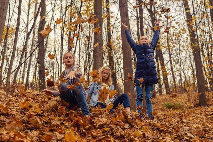 children play in leaves