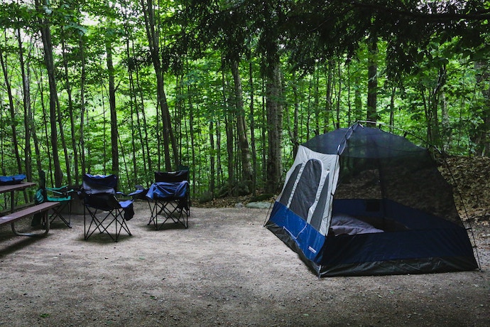 forrest campsite