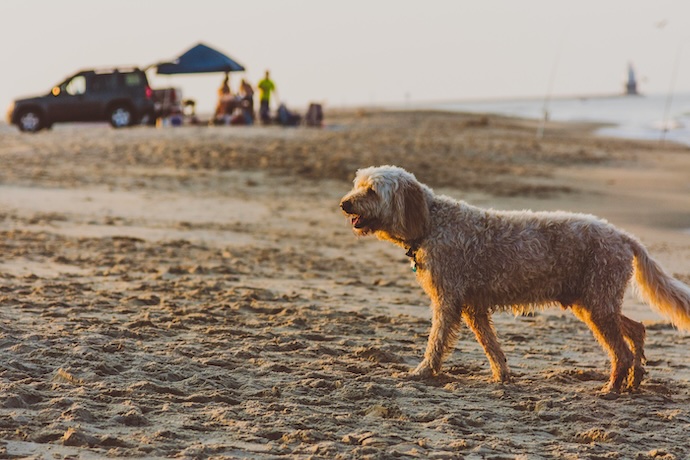 Coronado Beach, California