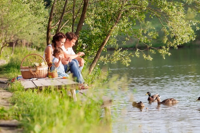 family picnic