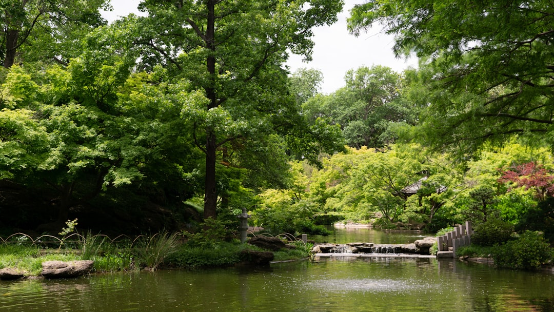 Top Fun Things for Families in Fort Worth