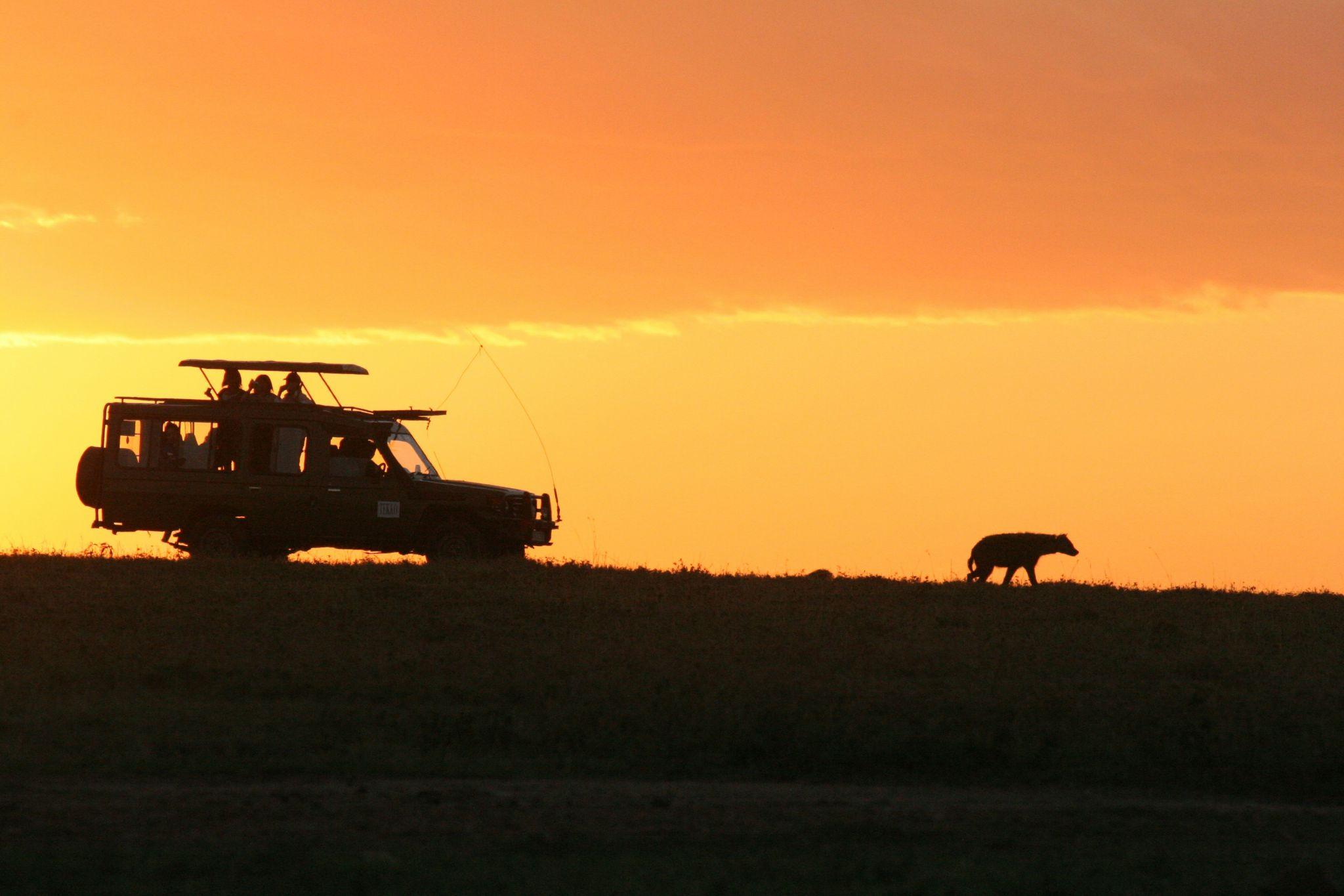 sunset safari in Africa
