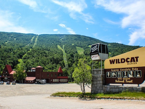  wildcat mountain 