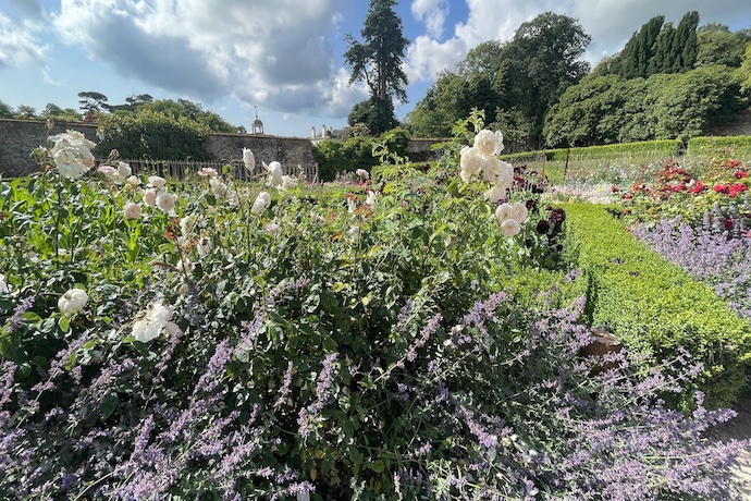 Flower garden at Lost Gardens Of Heligan