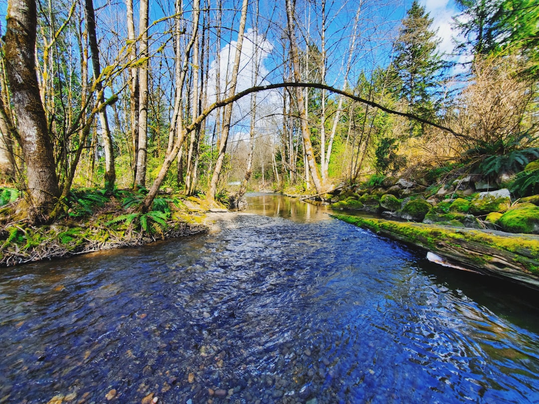 Walk the Los Gatos Creek Trail
