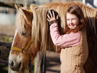 Horse listeners orchard