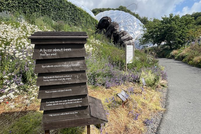 bees exhibition at eden project