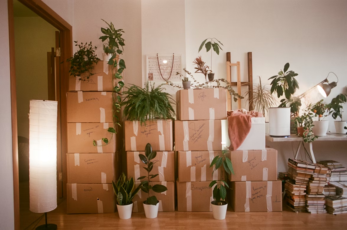 Cardboard boxes packed and placed by a wall.