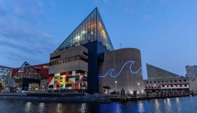 Our Top 9 Fun Things To Do With The Kids In Baltimore!