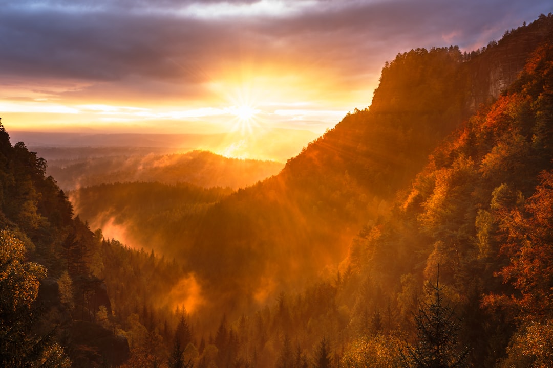 Explore Sentinel Peak (