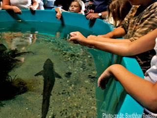Maine state aquarium