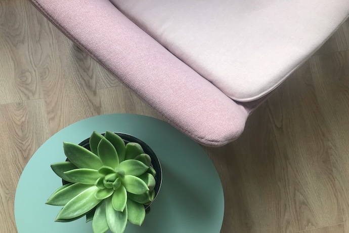 cactus on table near comfortable sofa
