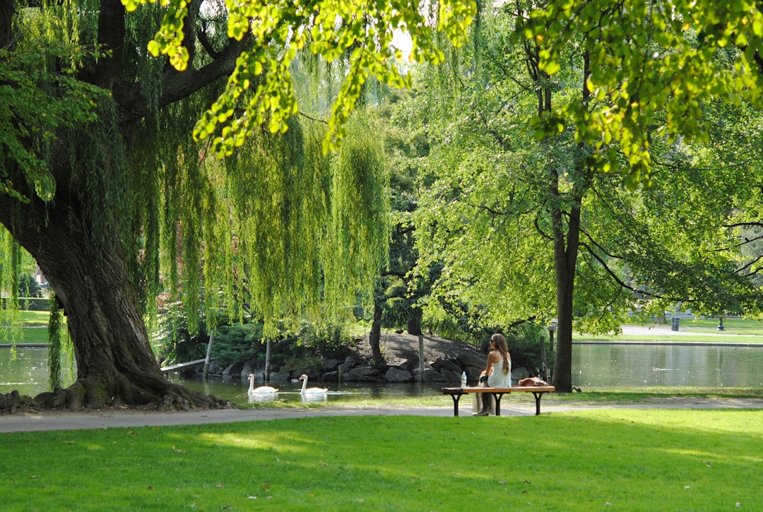 Enjoy Reid Park